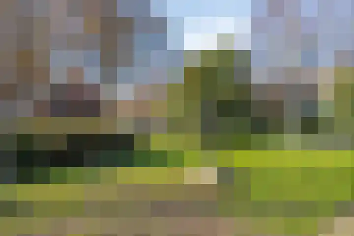 Schietspoel 16 Oss thumbnail 29