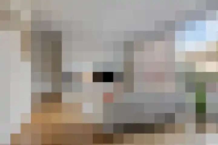 Schietspoel 16 Oss thumbnail 4