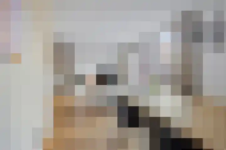 Schietspoel 16 Oss thumbnail 5