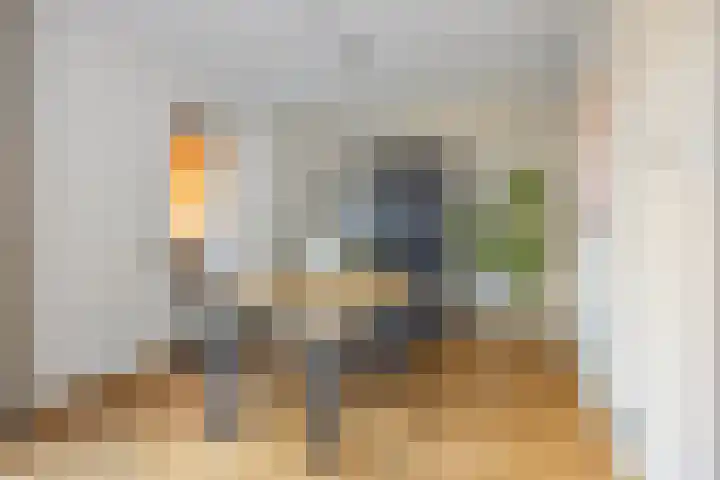 Schietspoel 16 Oss thumbnail 6