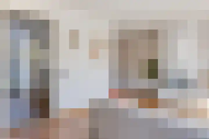 Schietspoel 16 Oss thumbnail 7