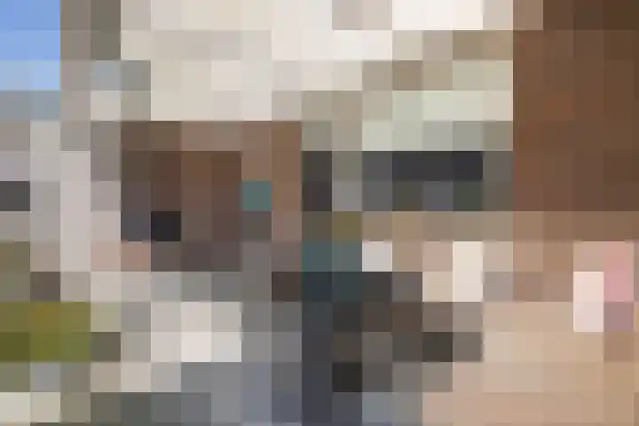 Schietspoel 19 Almelo thumbnail 26