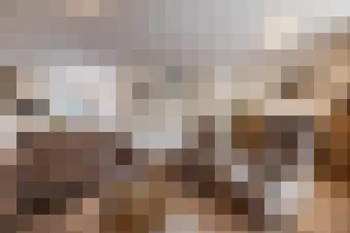 Schietspoel 19 Almelo thumbnail 6