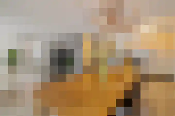 Schietspoel 2 Hilversum thumbnail 11