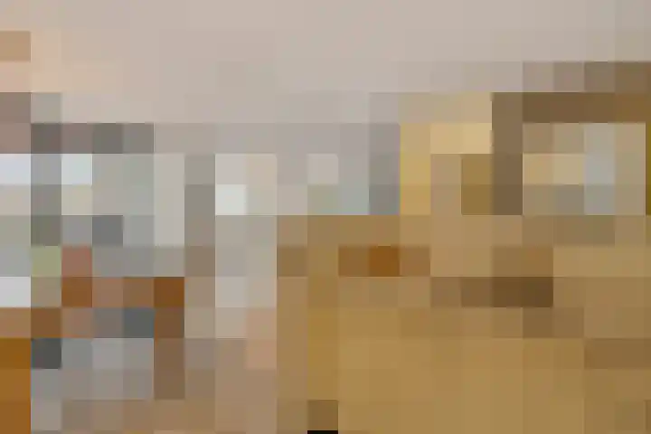 Schietspoel 2 Hilversum thumbnail 14