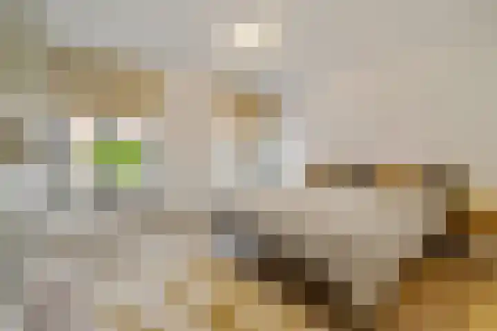 Schietspoel 2 Hilversum thumbnail 15