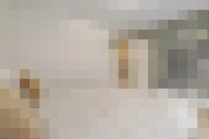 Schietspoel 2 Hilversum thumbnail 17