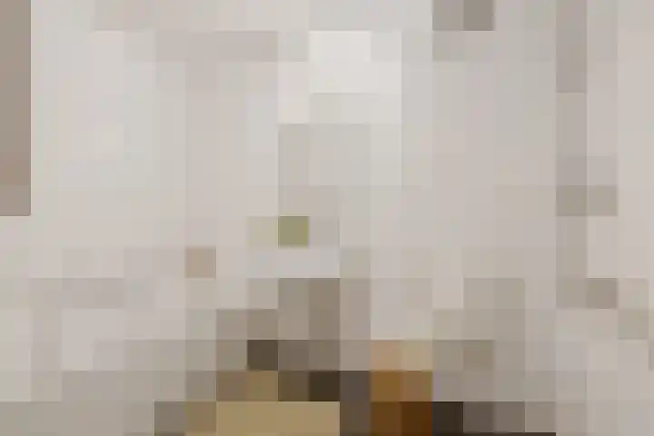 Schietspoel 2 Hilversum thumbnail 18