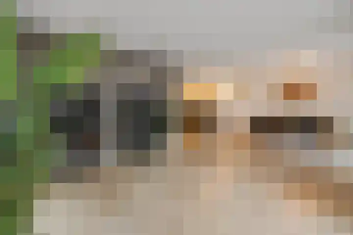 Schietspoel 2 Hilversum thumbnail 5