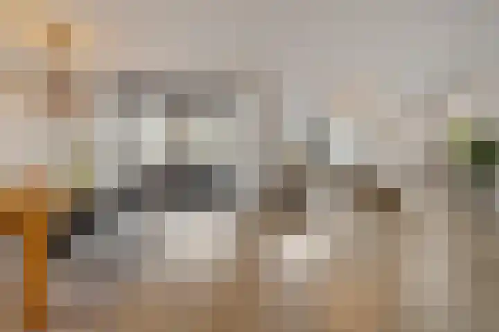 Schietspoel 2 Hilversum thumbnail 6
