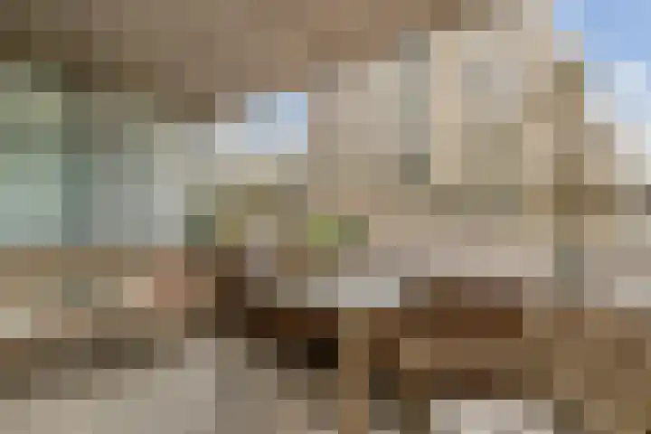 Schietspoel 2 Hilversum thumbnail 8