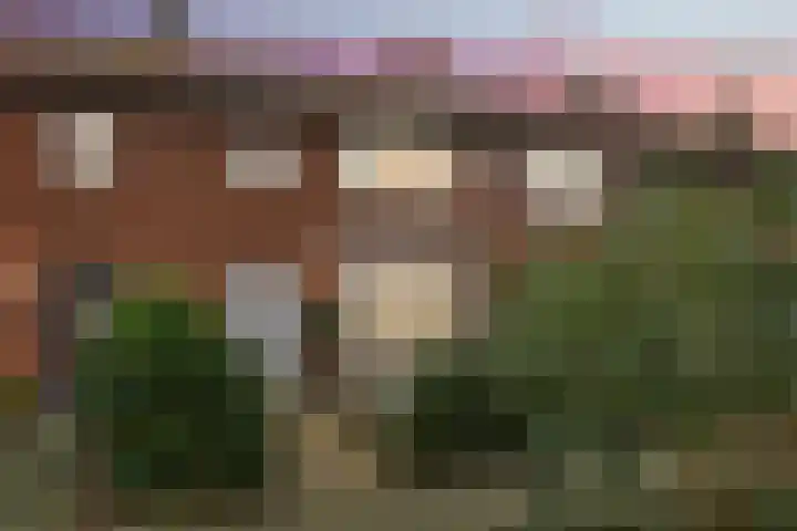 Schietspoel 20 Laren thumbnail 12