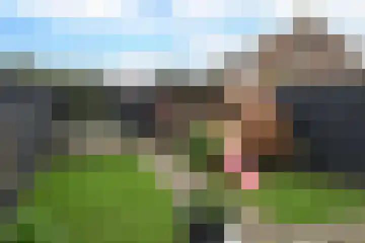 Schietspoel 20 Laren thumbnail 5