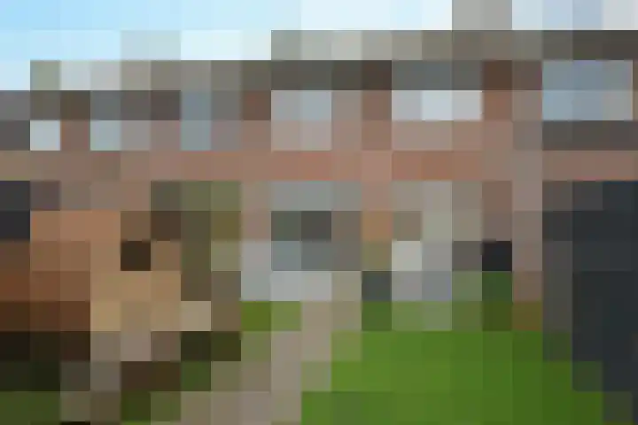 Schietspoel 20 Laren thumbnail 6