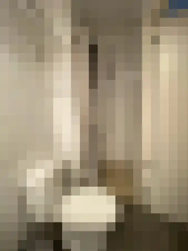 Schietspoel 207 Oss thumbnail 11