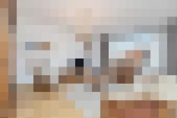 Schietspoel 207 Oss thumbnail 21