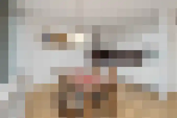 Schietspoel 207 Oss thumbnail 23