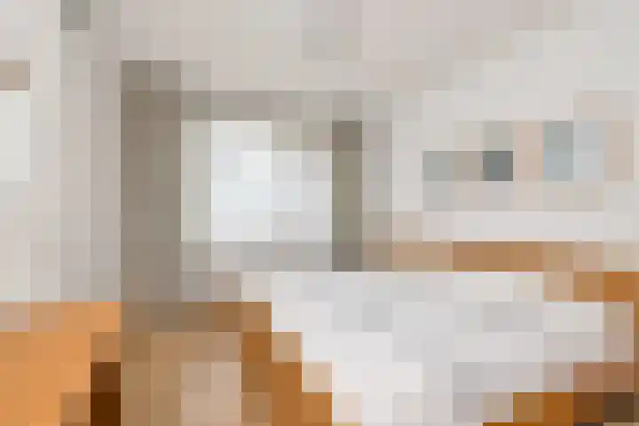 Schietspoel 207 Oss thumbnail 28