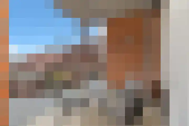 Schietspoel 207 Oss thumbnail 35