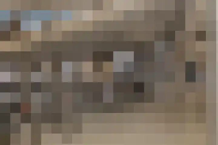 Schietspoel 207 Oss thumbnail 44