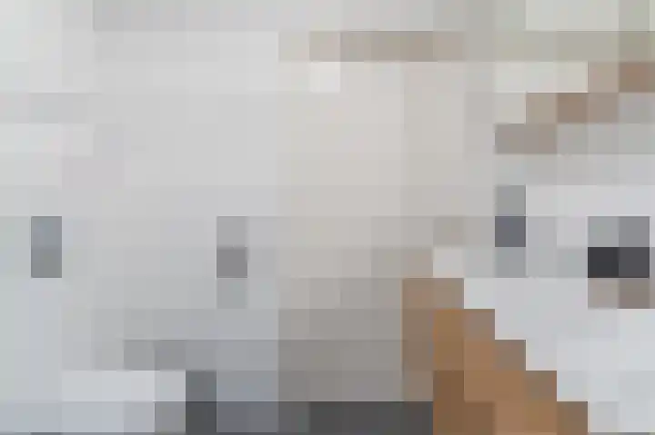 Schietspoel 207 Oss thumbnail 5