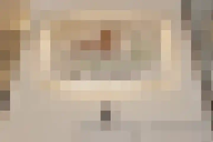 Schietspoel 207 Oss thumbnail 8