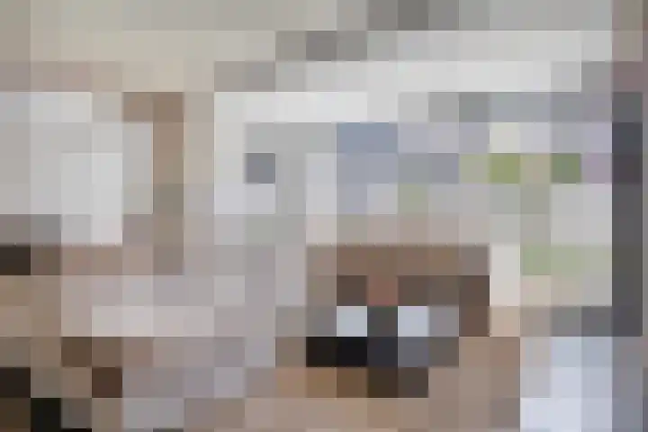 Schietspoel 22 Oss thumbnail 10