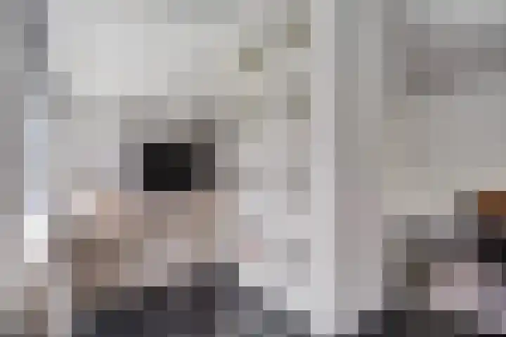 Schietspoel 22 Oss thumbnail 16