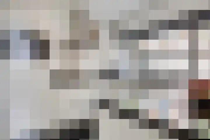 Schietspoel 22 Oss thumbnail 19
