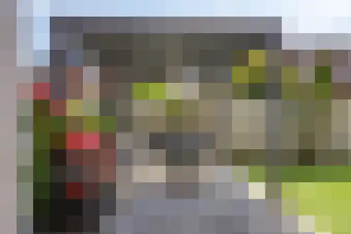 Schietspoel 22 Oss thumbnail 20