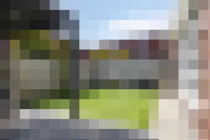 Schietspoel 22 Oss thumbnail 22