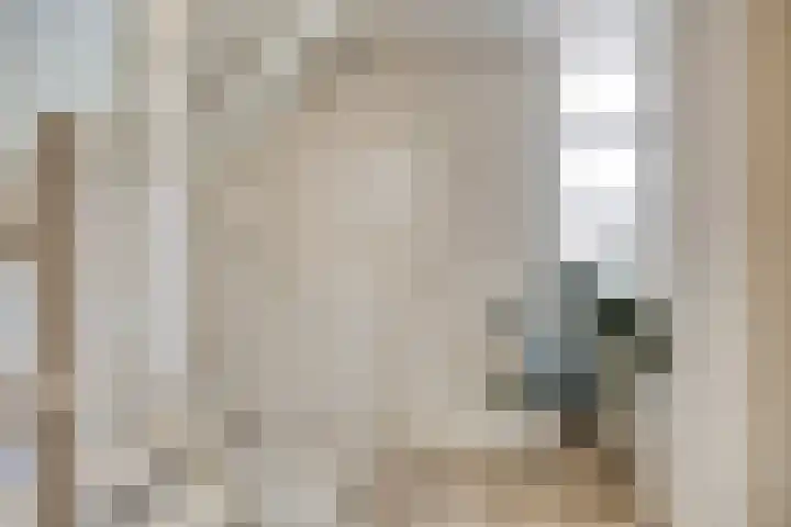 Schietspoel 22 Oss thumbnail 25