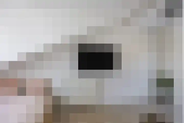 Schietspoel 22 Oss thumbnail 37