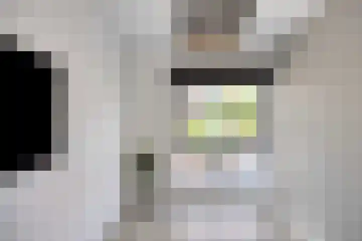Schietspoel 22 Oss thumbnail 39