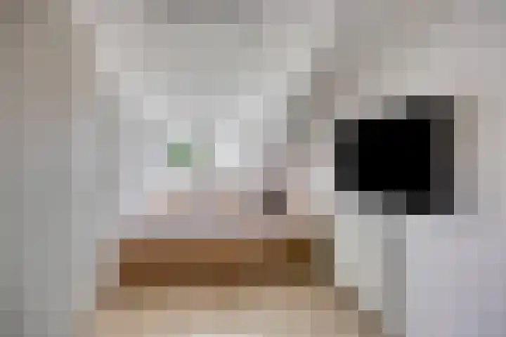 Schietspoel 22 Oss thumbnail 4