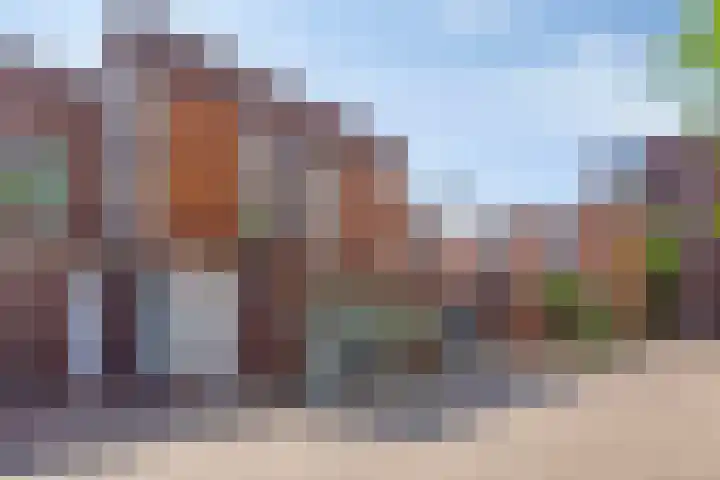 Schietspoel 22 Oss thumbnail 5