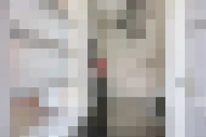 Schietspoel 22 Oss thumbnail 6