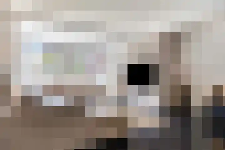 Schietspoel 22 Oss thumbnail 9