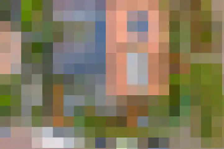 Schietspoel 23 Laren thumbnail 4