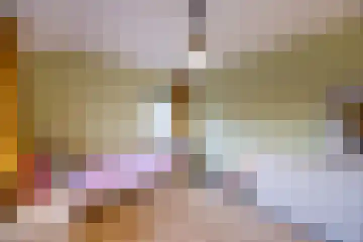 Schietspoel 23 Laren thumbnail 40