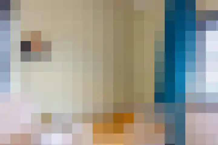 Schietspoel 23 Laren thumbnail 47