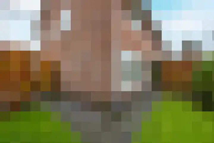 Schietspoel 23 Laren thumbnail 62