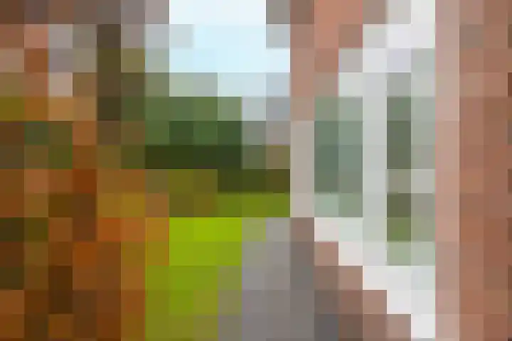 Schietspoel 23 Laren thumbnail 63