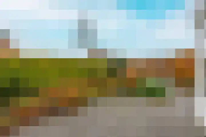 Schietspoel 23 Laren thumbnail 68