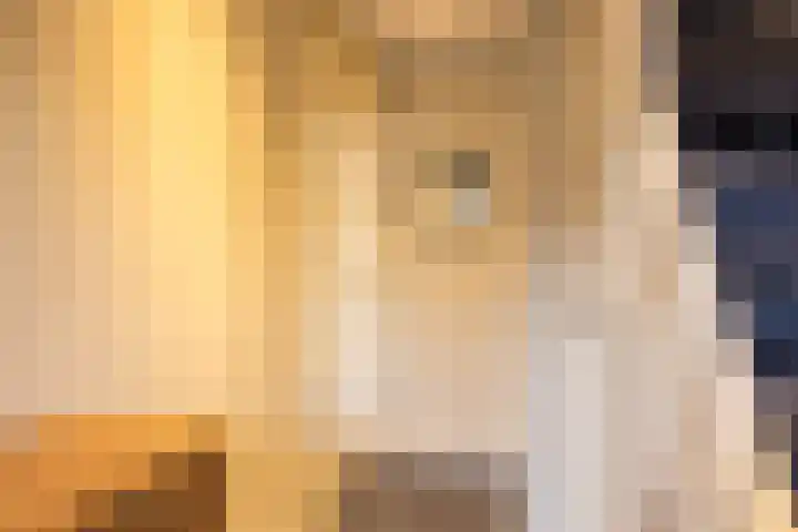 Schietspoel 23 Laren thumbnail 7