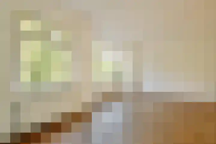 Schietspoel 237 Oss thumbnail 10