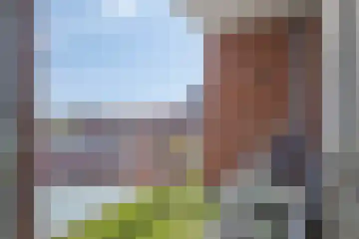 Schietspoel 237 Oss thumbnail 19