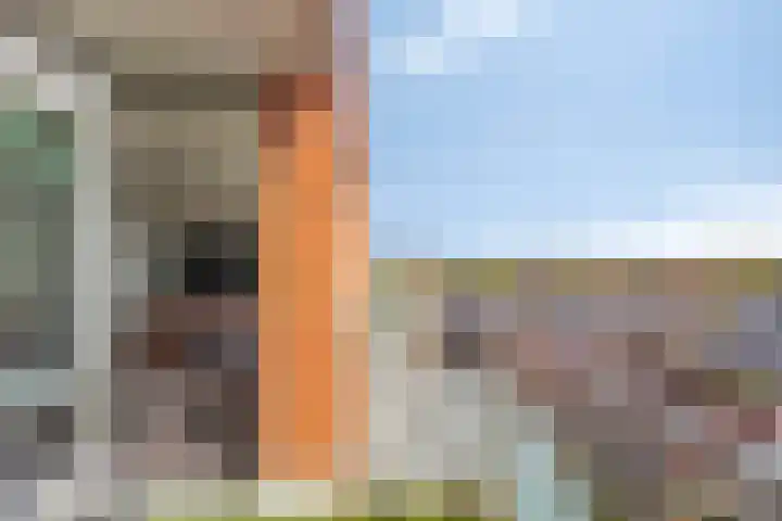 Schietspoel 237 Oss foto 2
