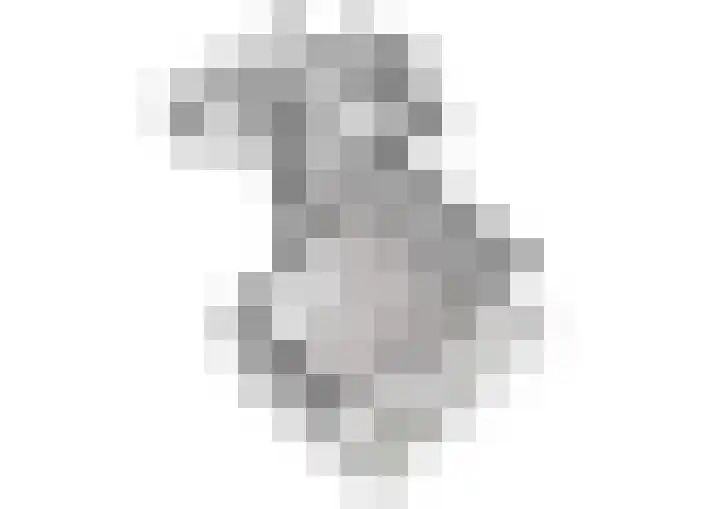 Schietspoel 237 Oss thumbnail 22