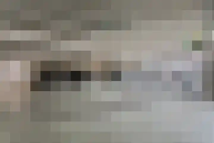 Schietspoel 237 Oss thumbnail 33
